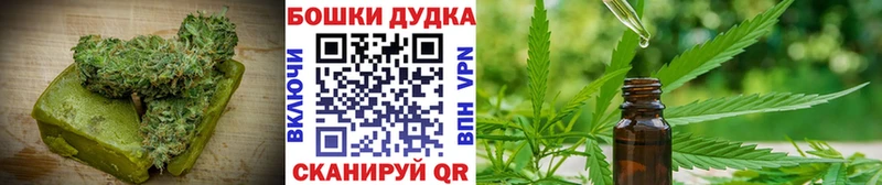где найти наркотики  Нолинск  Cannafood марихуана 