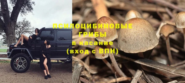 дмт Рославль