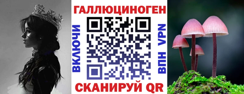 Галлюциногенные грибы Psilocybe  kraken зеркало  Нолинск 